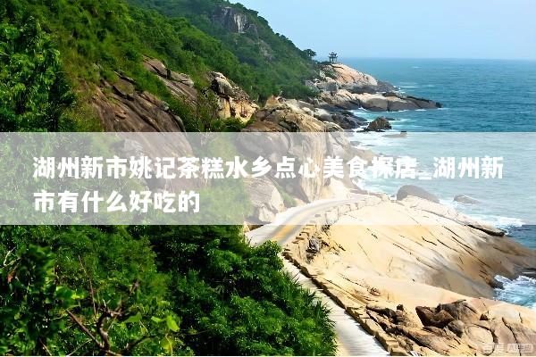 湖州新市姚记茶糕水乡点心美食探店_湖州新市有什么好吃的