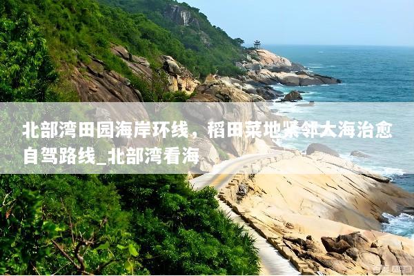 北部湾田园海岸环线，稻田菜地紧邻大海治愈自驾路线_北部湾看海