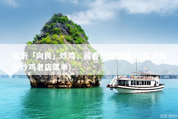 临沂「向民」炒鸡，酱香微辣饼蘸汤(临沂向民炒鸡老店菜单)