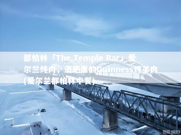 都柏林「The Temple Bar」爱尔兰炖肉，酒吧里的Guinness炖羊肉(爱尔兰都柏林中餐)