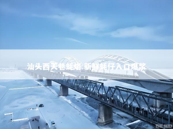 汕头西天巷蚝烙 新鲜蚝仔入口爆浆