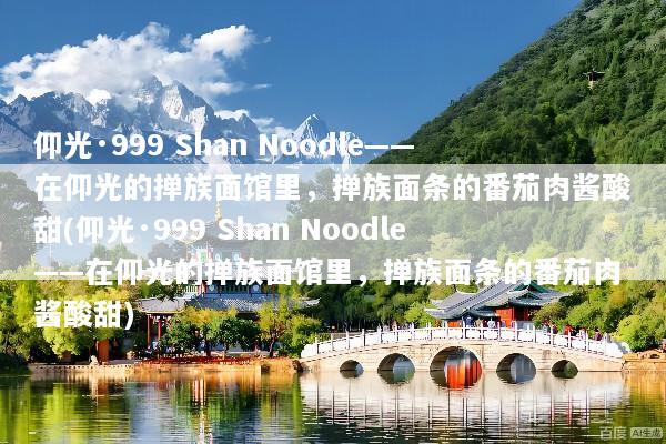 仰光·999 Shan Noodle——在仰光的掸族面馆里，掸族面条的番茄肉酱酸甜(仰光·999 Shan Noodle——在仰光的掸族面馆里，掸族面条的番茄肉酱酸甜)