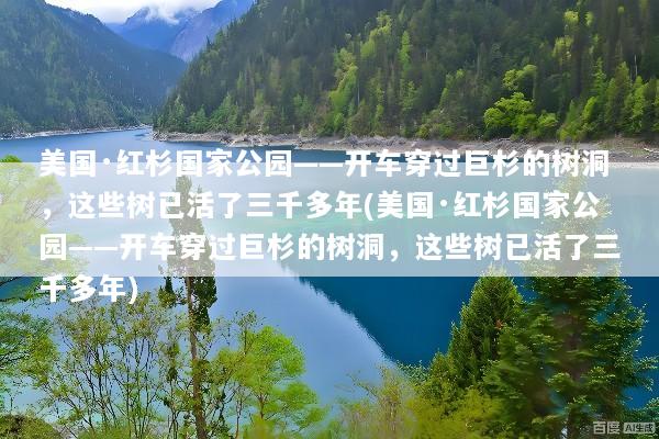 美国·红杉国家公园——开车穿过巨杉的树洞，这些树已活了三千多年(美国·红杉国家公园——开车穿过巨杉的树洞，这些树已活了三千多年)