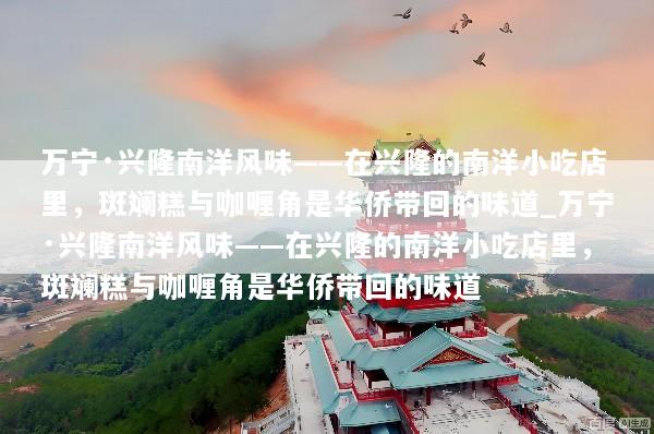 万宁·兴隆南洋风味——在兴隆的南洋小吃店里，斑斓糕与咖喱角是华侨带回的味道_万宁·兴隆南洋风味——在兴隆的南洋小吃店里，斑斓糕与咖喱角是华侨带回的味道