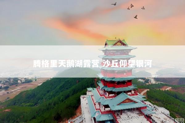 腾格里天鹅湖露营 沙丘仰望银河