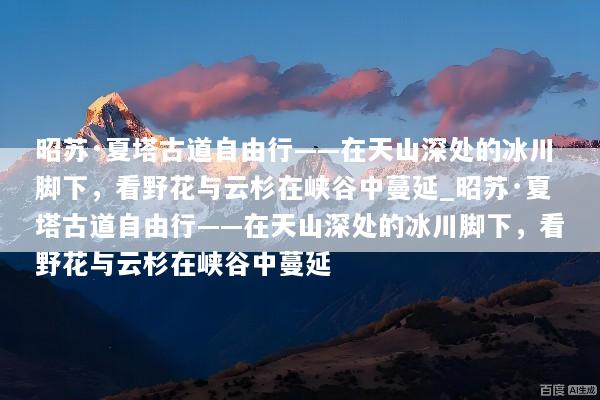 昭苏·夏塔古道自由行——在天山深处的冰川脚下，看野花与云杉在峡谷中蔓延_昭苏·夏塔古道自由行——在天山深处的冰川脚下，看野花与云杉在峡谷中蔓延