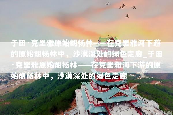 于田·克里雅原始胡杨林——在克里雅河下游的原始胡杨林中，沙漠深处的绿色走廊_于田·克里雅原始胡杨林——在克里雅河下游的原始胡杨林中，沙漠深处的绿色走廊