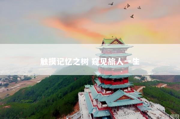 触摸记忆之树 窥见旅人一生