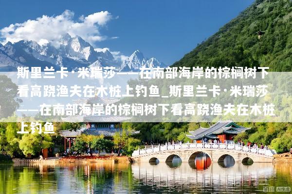 斯里兰卡·米瑞莎——在南部海岸的棕榈树下看高跷渔夫在木桩上钓鱼_斯里兰卡·米瑞莎——在南部海岸的棕榈树下看高跷渔夫在木桩上钓鱼