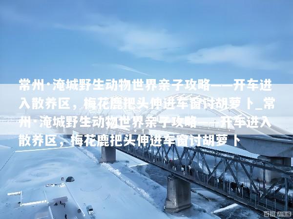 常州·淹城野生动物世界亲子攻略——开车进入散养区，梅花鹿把头伸进车窗讨胡萝卜_常州·淹城野生动物世界亲子攻略——开车进入散养区，梅花鹿把头伸进车窗讨胡萝卜