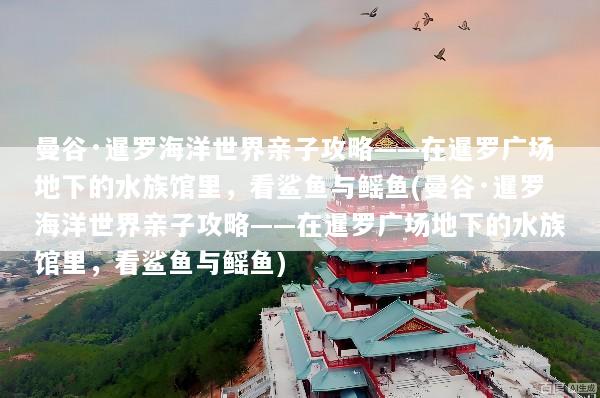 曼谷·暹罗海洋世界亲子攻略——在暹罗广场地下的水族馆里，看鲨鱼与鳐鱼(曼谷·暹罗海洋世界亲子攻略——在暹罗广场地下的水族馆里，看鲨鱼与鳐鱼)