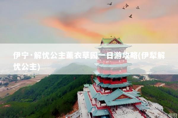 伊宁·解忧公主薰衣草园一日游攻略(伊犁解忧公主)