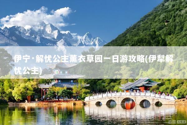 伊宁·解忧公主薰衣草园一日游攻略(伊犁解忧公主)