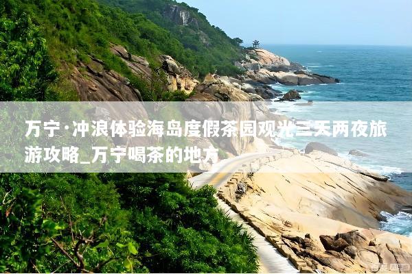 万宁·冲浪体验海岛度假茶园观光三天两夜旅游攻略_万宁喝茶的地方