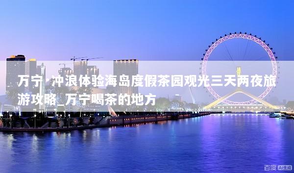 万宁·冲浪体验海岛度假茶园观光三天两夜旅游攻略_万宁喝茶的地方