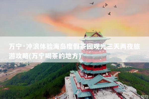 万宁·冲浪体验海岛度假茶园观光三天两夜旅游攻略(万宁喝茶的地方)