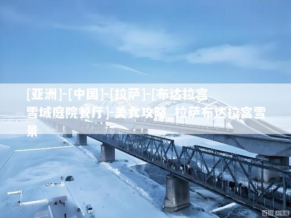 [亚洲]-[中国]-[拉萨]-[布达拉宫雪域庭院餐厅]-美食攻略_拉萨布达拉宫雪景