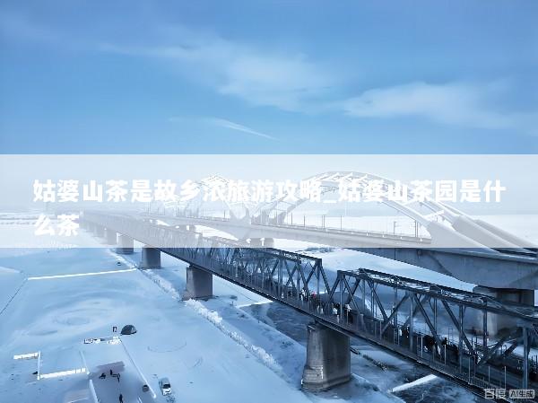 姑婆山茶是故乡浓旅游攻略_姑婆山茶园是什么茶